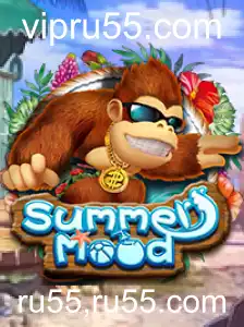 Tudo sobre o Jogo SummerMood: Descrição, Introdução e Regras